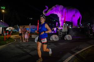 BIB: 
                            <button type="button" onclick="openModal(26552208)" class="btn btn-primary btn-sm float-right btn-popup" data-toggle="modal" data-target=".modal-high-quality">
                        <i class="fas fa-shopping-cart"></i> Add to Cart
                    </button>
                                            <button type="button" onclick="isThisMe(26552208, true)" class="btn btn-success btn-sm float-right btn-popup btn-isme hidden" data-toggle="tooltip" data-placement="bottom" title="นี่คือรูปของคุณใช่ไหม คลิกที่นี่เพื่อเอาเข้าอัลบั้ม">
                        <i class="fas fa-plus"></i> Add to album
                    </button>
                    <button type="button" onclick="isThisMe(26552208, false)" class="btn btn-warning btn-sm float-right btn-popup btn-isnotme hidden">
                        <i class="fas fa-ban"></i> Remove from album
                    </button>